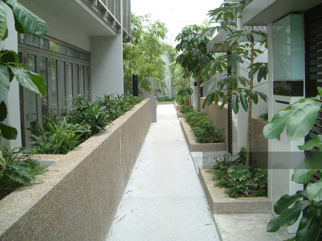 The Teneriffe (D10), Terrace #112658072